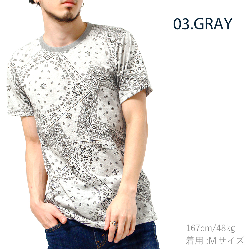 ペイズリー柄 Tシャツ 半袖 クルーネック メンズ レディース コーデ T