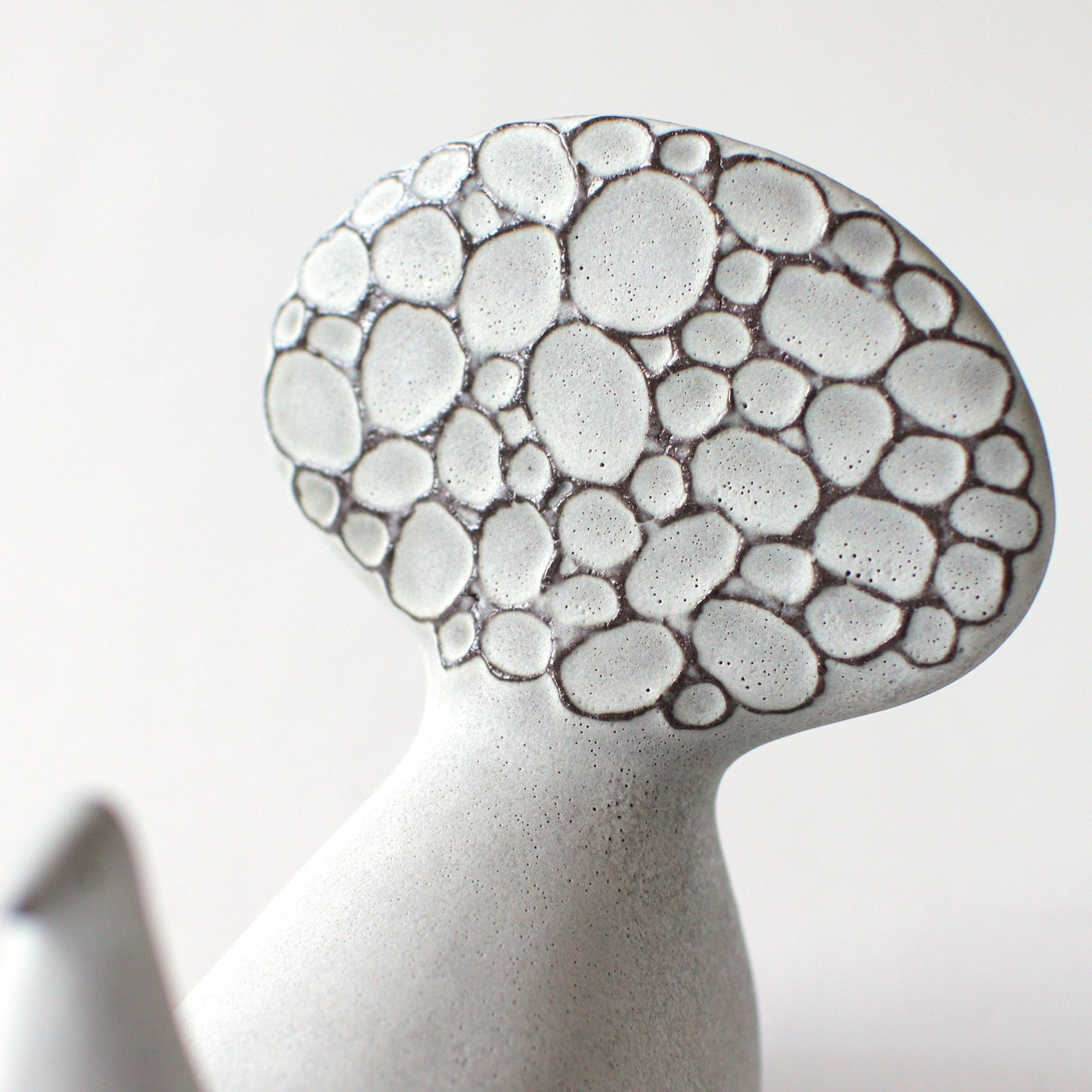 PEACOCK / グレー – BIRDS' WORDS