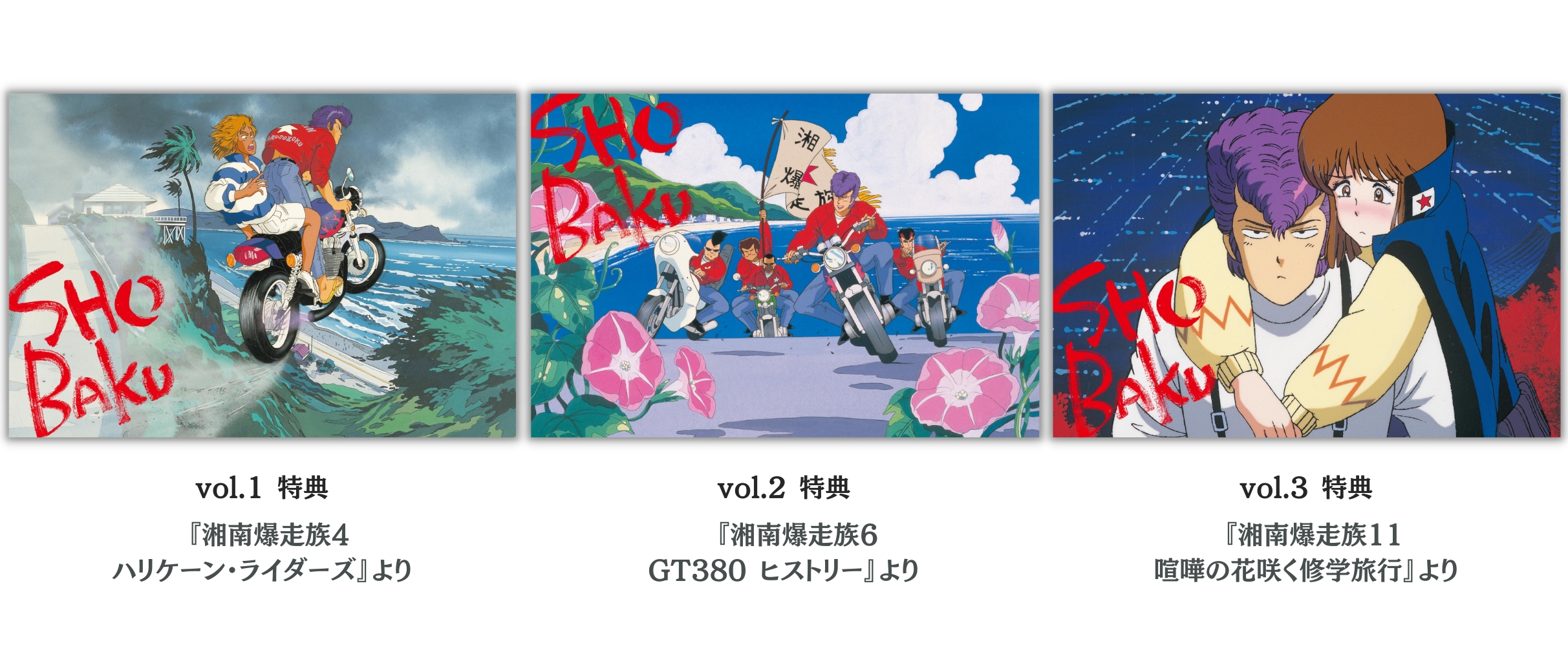 湘南爆走族 COMPLETE DVD BOOK』全3巻刊行決定！ - BOOKぴあ