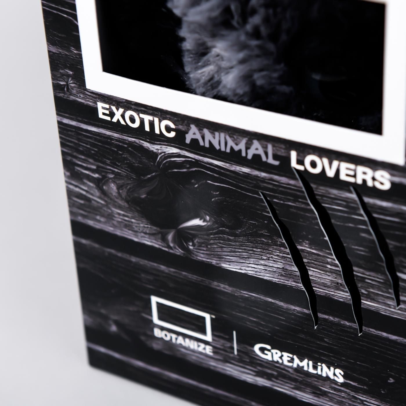 GREMLiNS × BOTANIZE gray