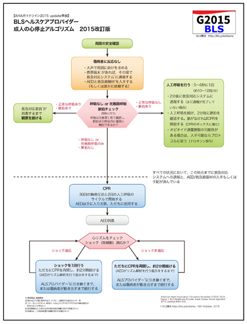 心肺蘇生ガイドライン2015－ 新しい救命処置 CPR/BLS/ACLS/PALS 速報