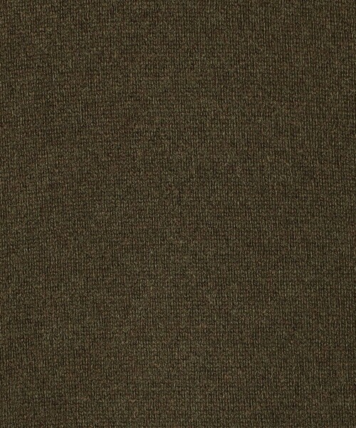 caban（キャバン）の「ウールカシミヤ リバーシブルチュニックベスト