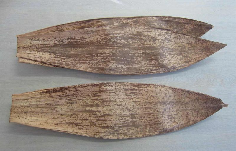 創作ばれん専用 竹皮（3枚セット） | 道刃物工業株式会社