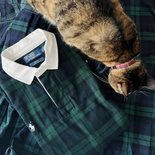 96のオススメvol.24｜ビームス ニューズ｜BEAMS