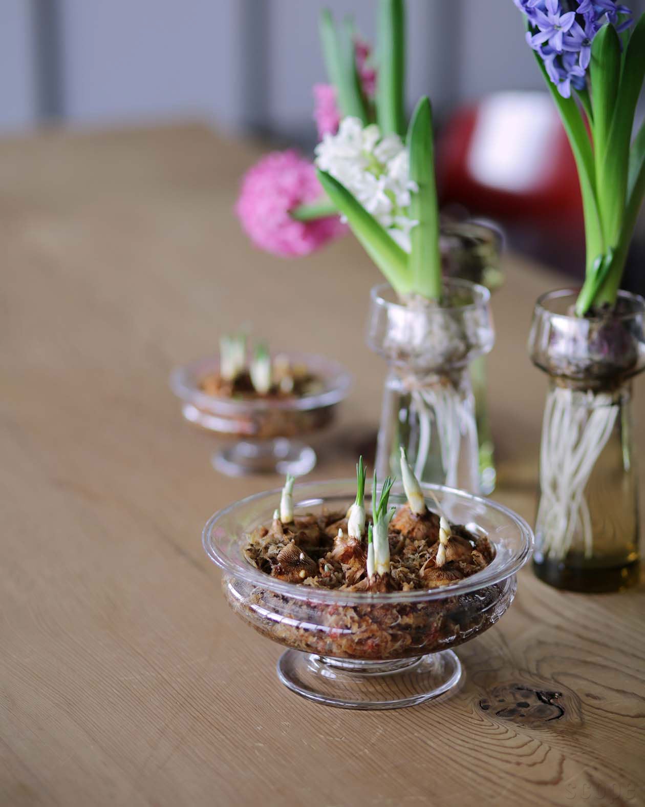 販売終了】Old English フラワーボウル