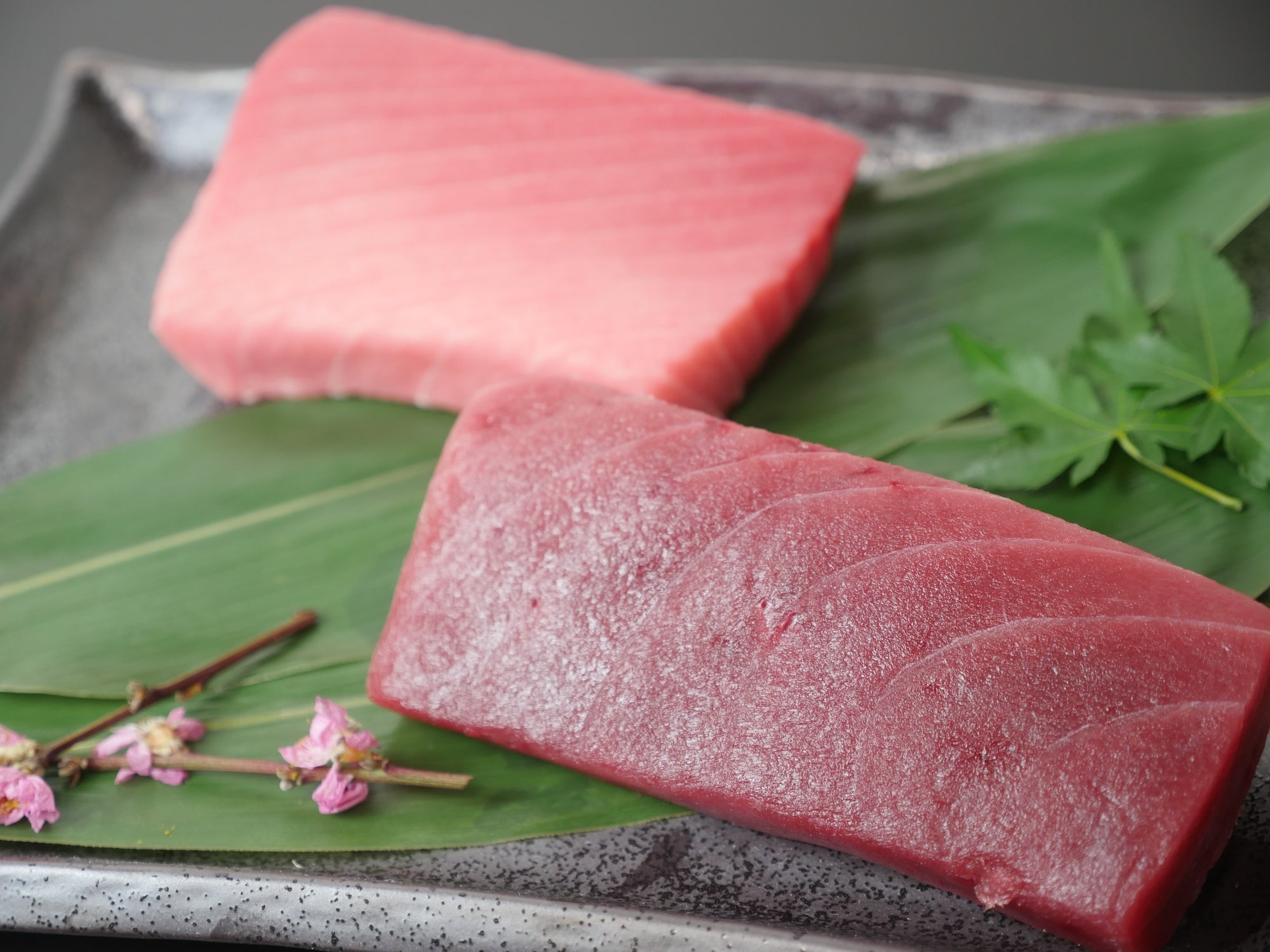 マグロの王様】天然本鮪 赤身・中トロセット(200g×2) 冷凍