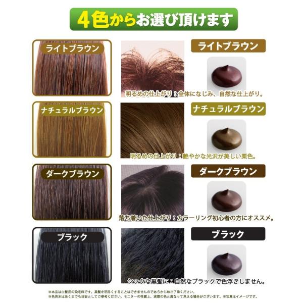 利尻ヘアカラートリートメント お得な白髪染め4点セット！敏感肌用 無
