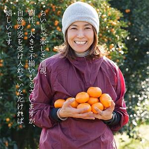 みかん色々♪季節の柑橘詰合せ10kgいろんな種類が一箱に詰まった楽しい