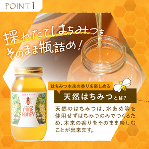 天然アカシヤハチミツセット(1000g×2) 天然 アカシヤ ハチミツ 2本 計