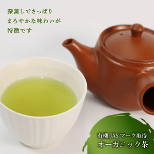 緑茶 茶葉 オーガニック 100g 5袋 セット | 茶葉 茶葉 茶葉 茶葉
