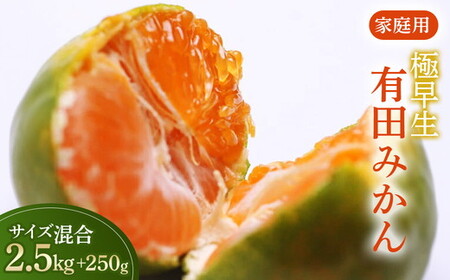 家庭用 極早生有田みかん2.5kg+250g（傷み補償分）【希少な新品種YN26