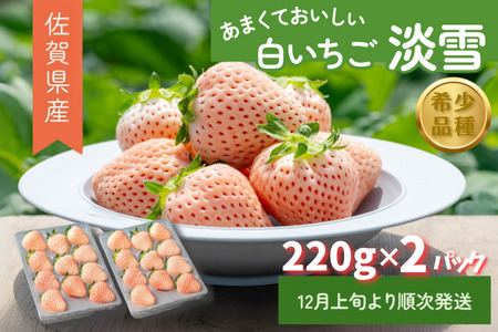 希少いちご 淡雪 220g×2 佐賀産 いちご B140-009 | 佐賀県佐賀市