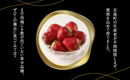 ☆予約受付☆黒色いちご 真紅の美鈴｜ 苺 果物 くだもの フルーツ 旬