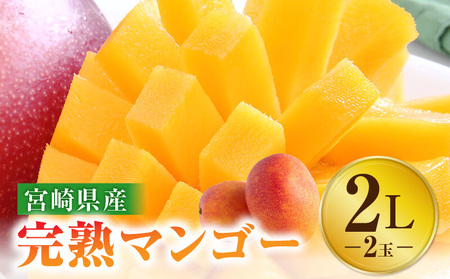 2026年発送先行予約》【数量・期間限定】宮崎特産品 宮崎県産完熟