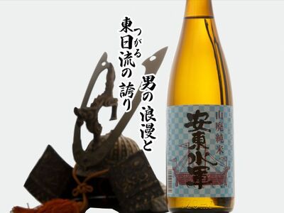 日本酒 山廃 純米酒 安東水軍 720ml ×1本 お酒 酒 地酒 純米 清酒
