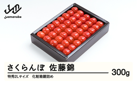 先行予約》 さくらんぼ 佐藤錦 特秀2Lサイズ プレゼント ギフト 化粧箱