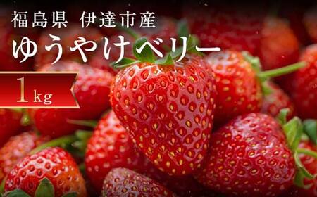 2026年発送＞＜限定＞新品種のいちご 福島県 オリジナル品種「ゆうやけ