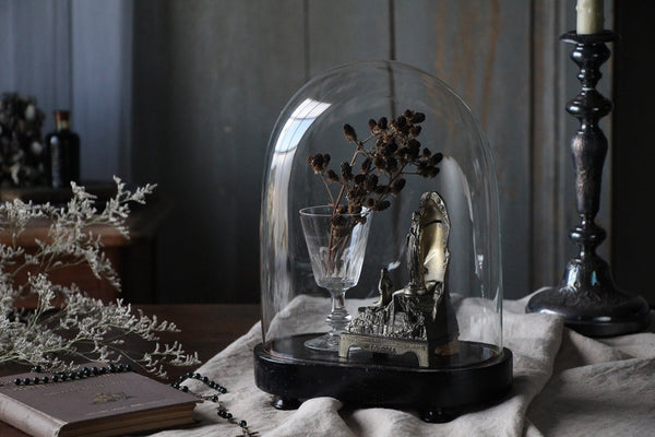 フランス ベルギー ガラスドーム 展示ケース アンティーク 古道具 木