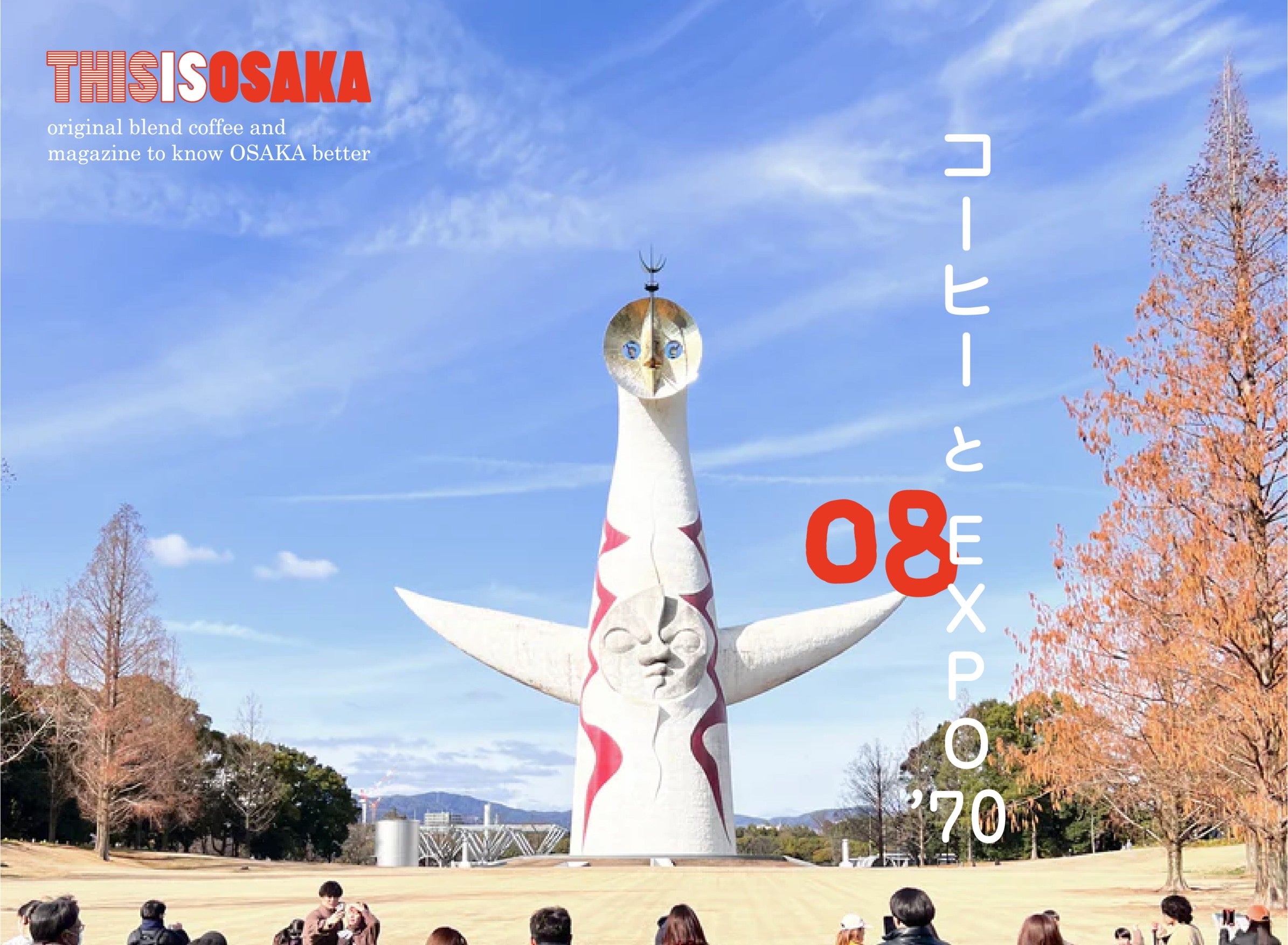 IMG_7242.jpg?v=1718095318&