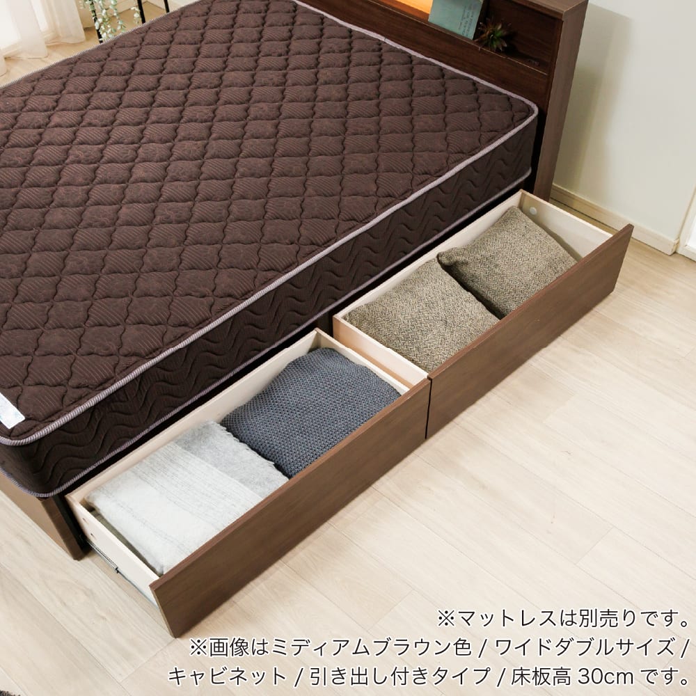 フランスベッド] シングルベッドフレーム チョイスミーCⅠ