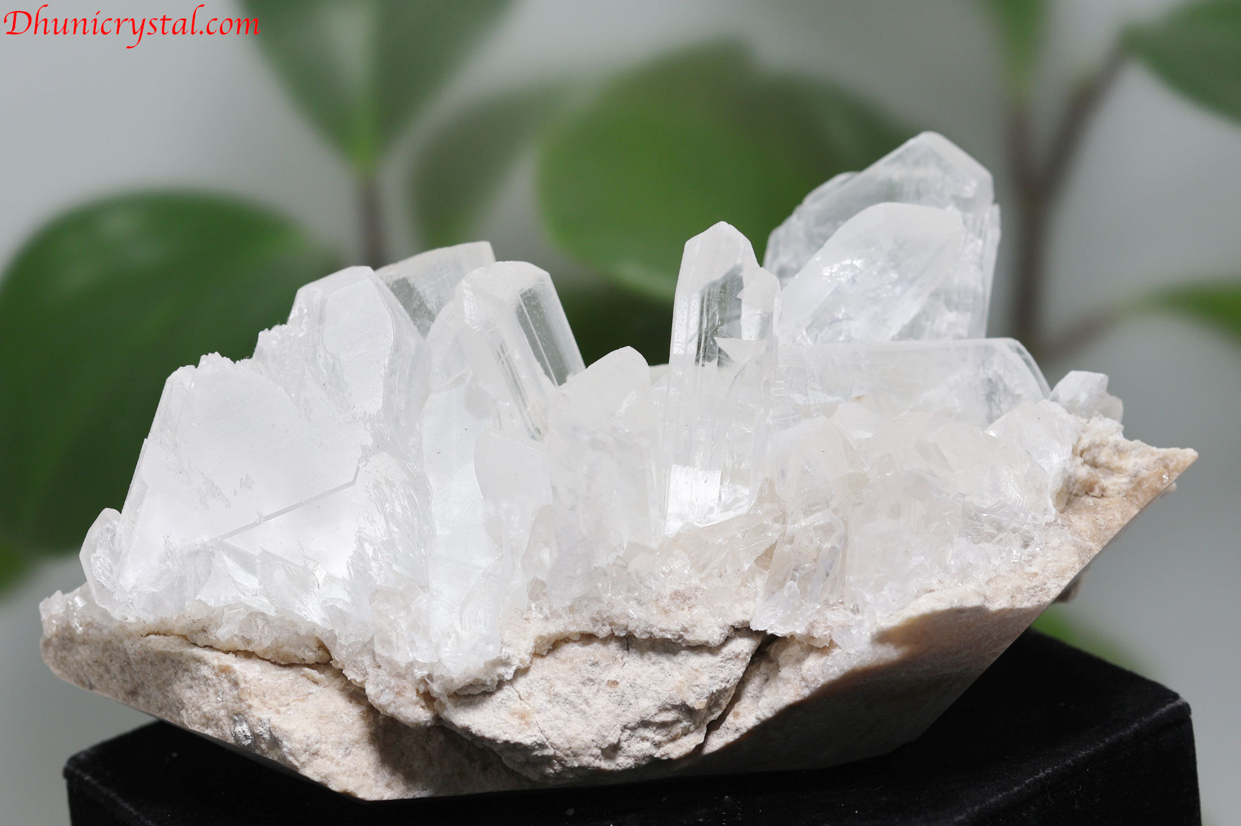 セレナイト原石/クラスター(A846)