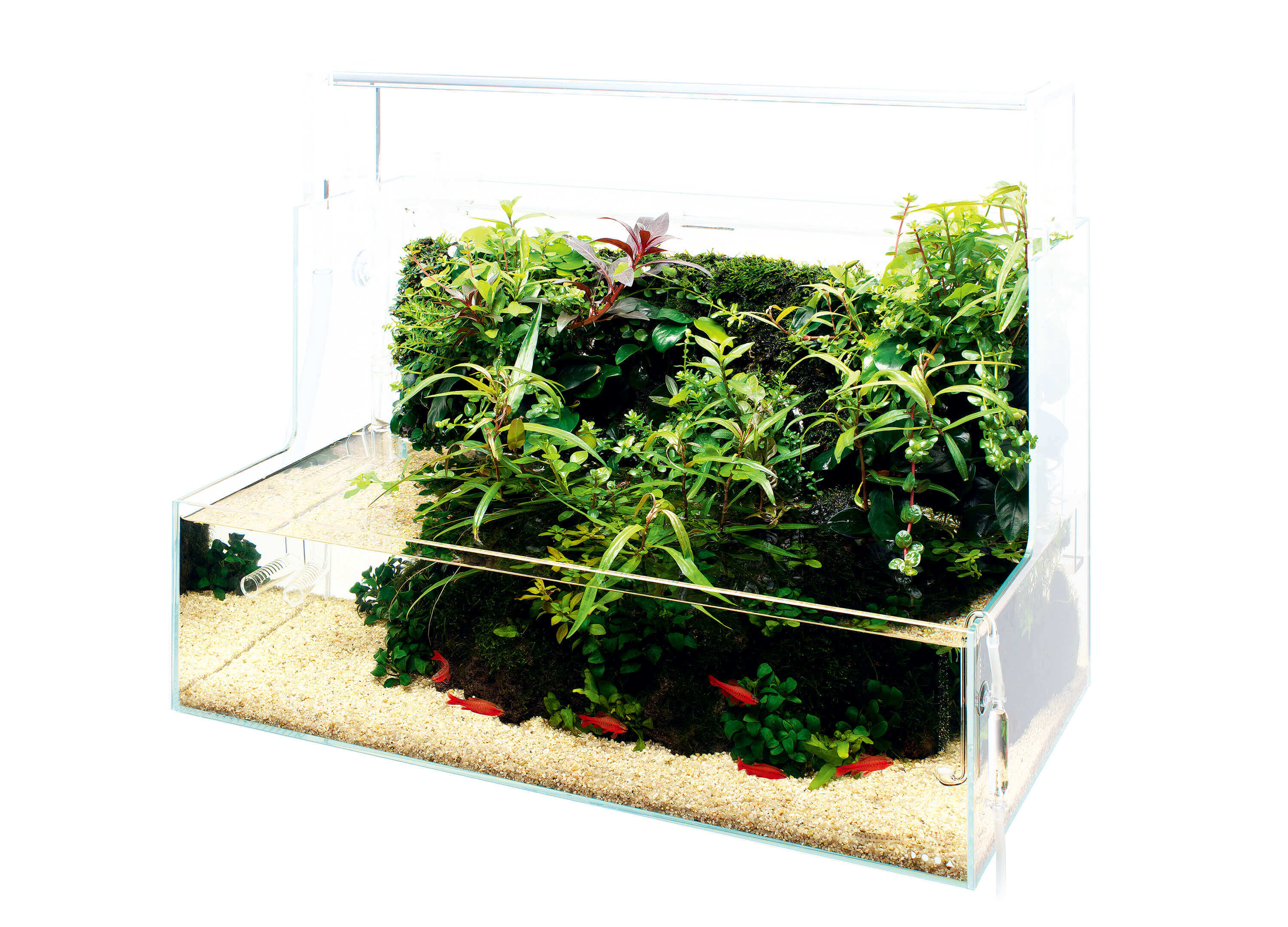 DOOA ADA 侘草ウォール ADA DOOA 侘び草ウォール60 ADAアクアデザイン