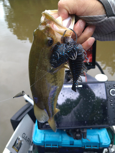 プラグ 5点セット カドラー フィードポッパー ロックジャーク