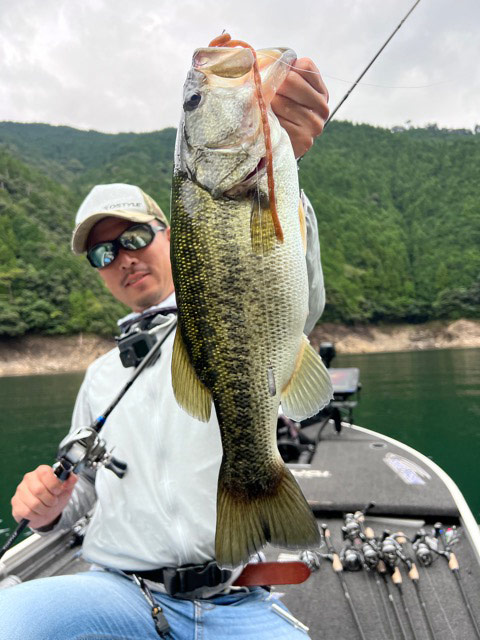 プラグ 5点セット カドラー フィードポッパー ロックジャーク