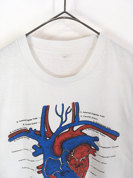 古着 80s 心臓 ハート 臓器 解剖図 アート Tシャツ M位 古着 - 古着