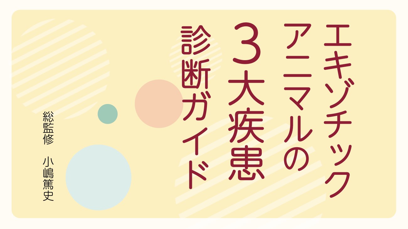 エキゾチックアニマルの3大疾患診断ガイド｜EDUWARD eBook