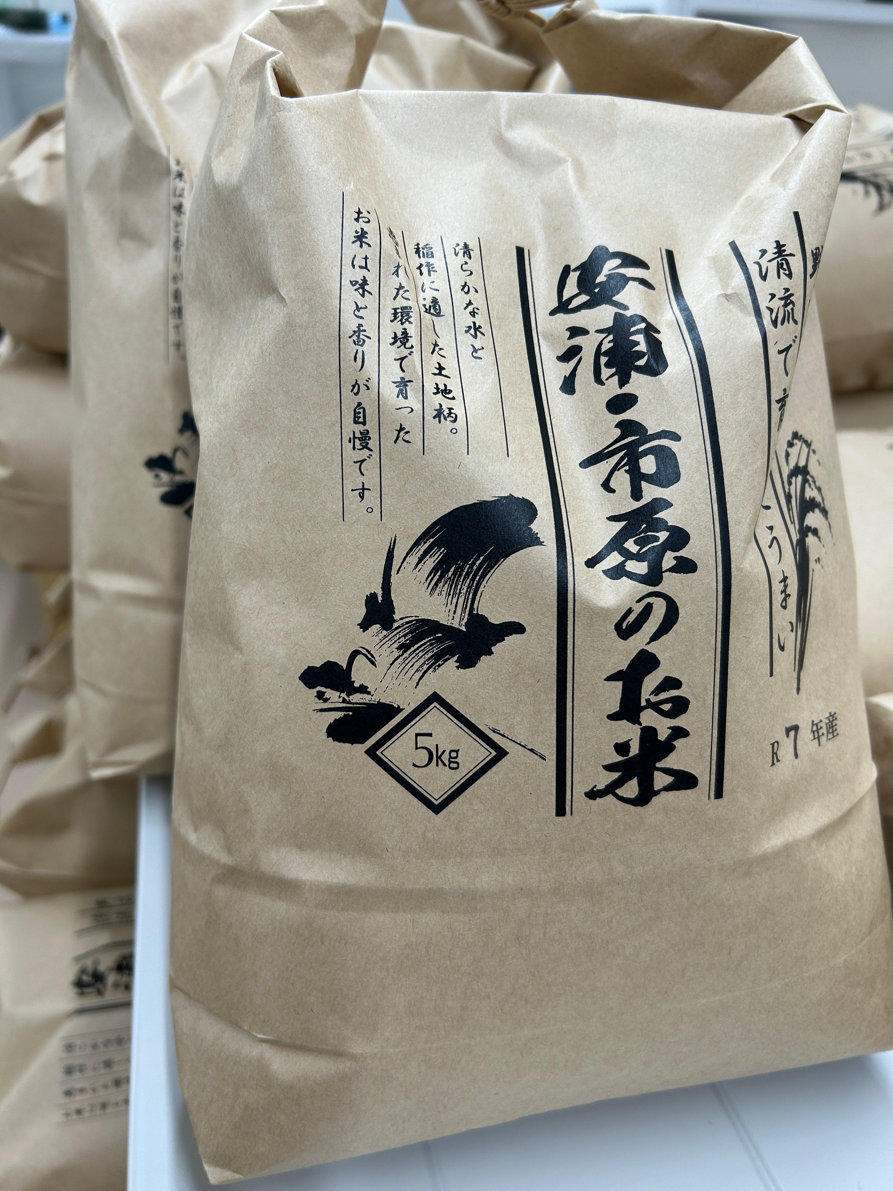 えいちのみずワカガエル 1ヶ月セット えいちのみずワカガエル 1ヶ月