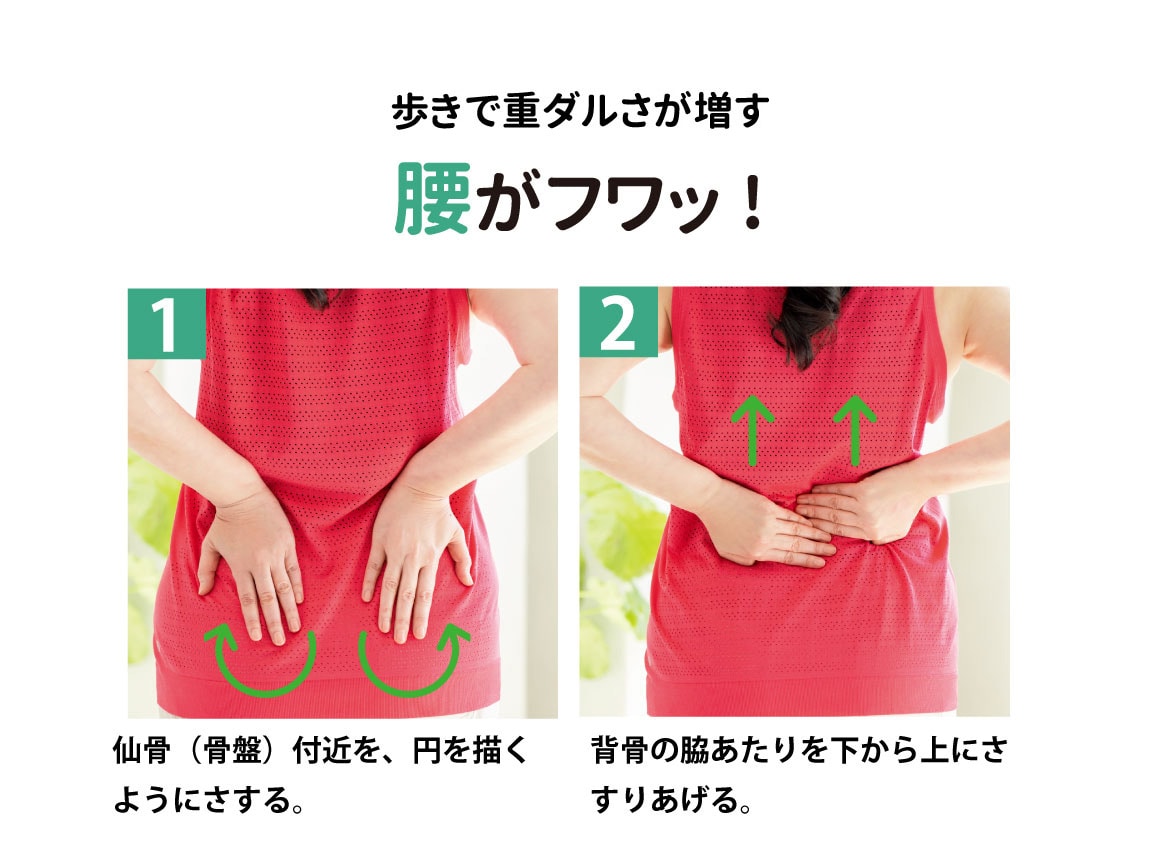 ハルメク MSMクリーム: ｜ カタログ通販のハルメク