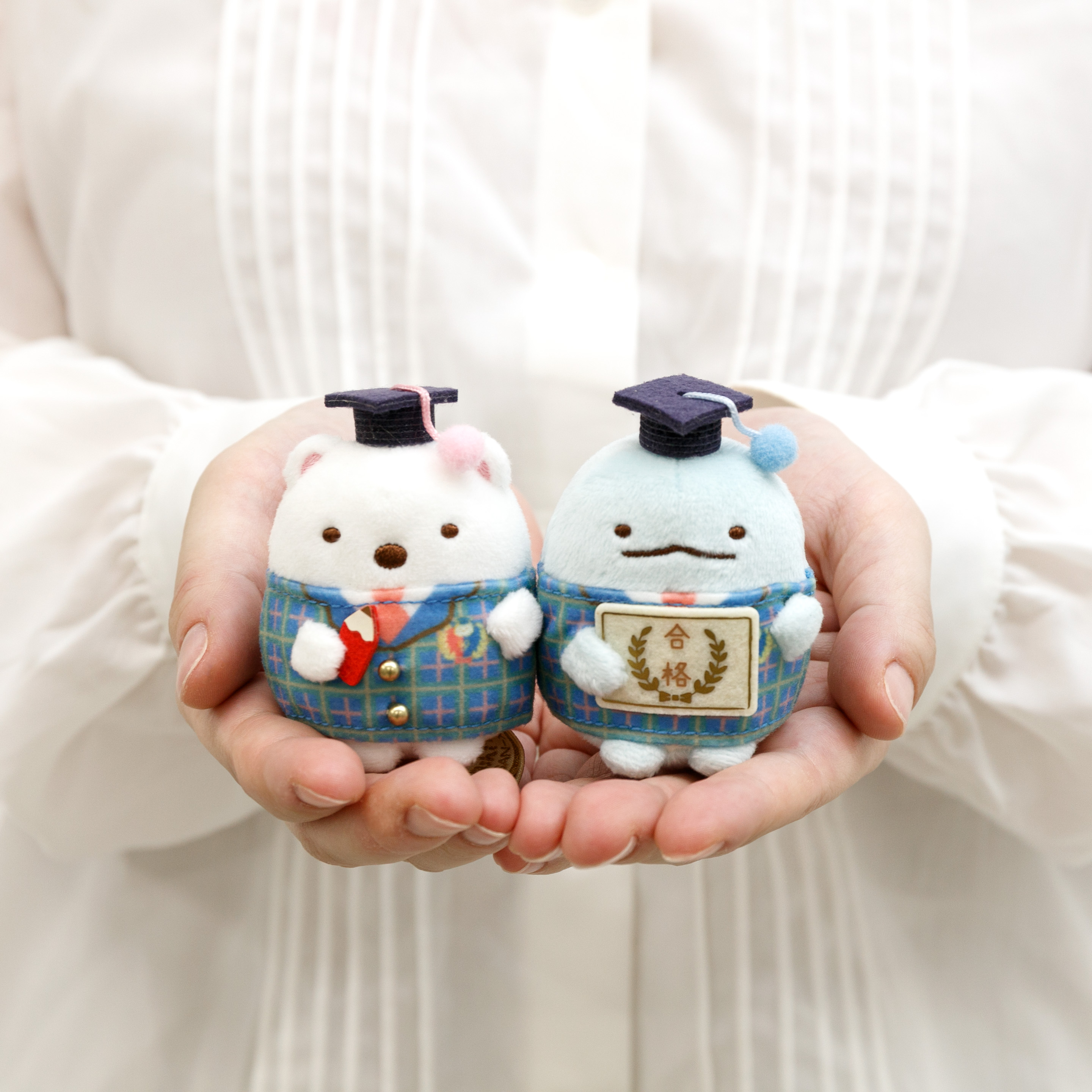 すみっコぐらし検定 第一回受験者限定 てのりぬいぐるみ レア すみっコ