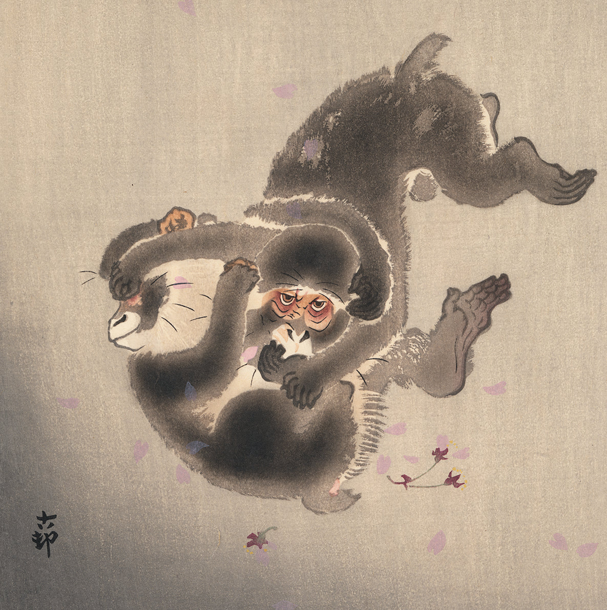 Koson 小原古邨 : Two Playing Monkeys 桜吹雪に小猿 – Egenolf