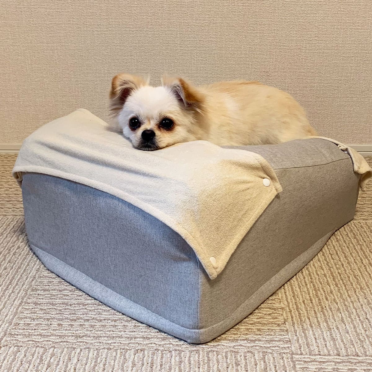 誤嚥・床ずれ防止 E字型 介護用ドッグベッド 防水カバー付き | 寝具