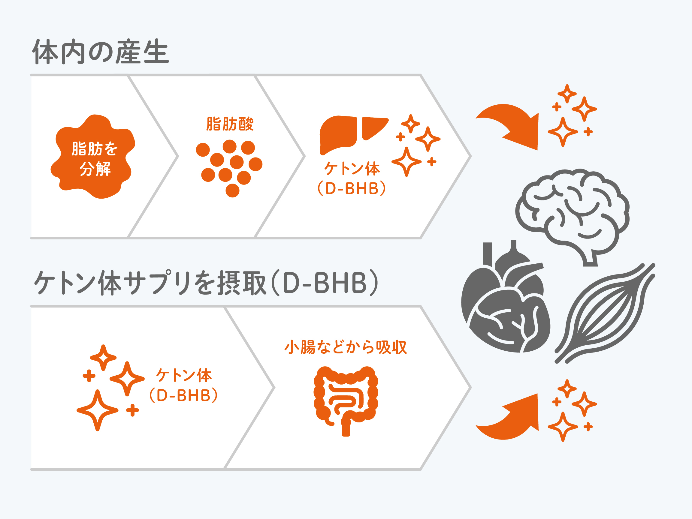 KETO SHOT PRO（ケト・ショット プロ）1箱10包x3箱|mdストア