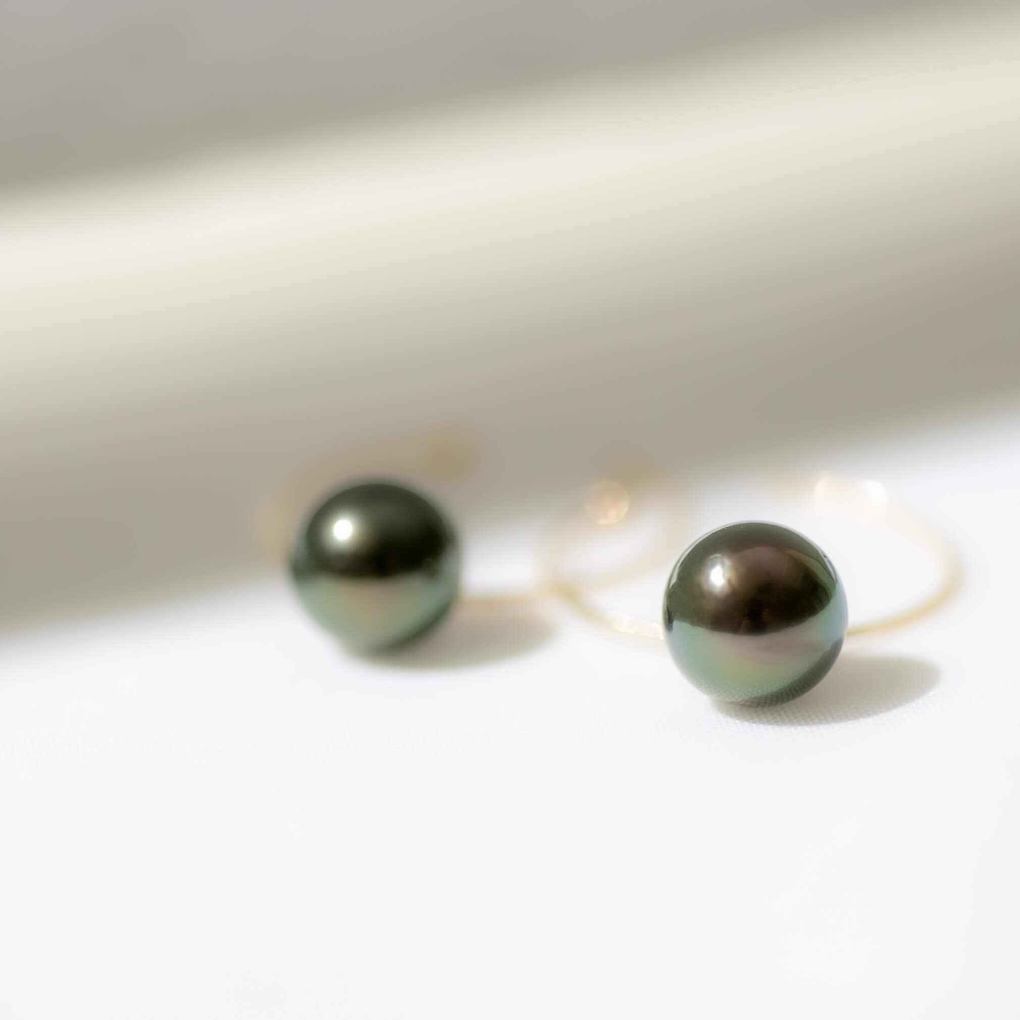 ブラックパール イエローゴールド フープピアス【M】｜無調色 黒蝶真珠