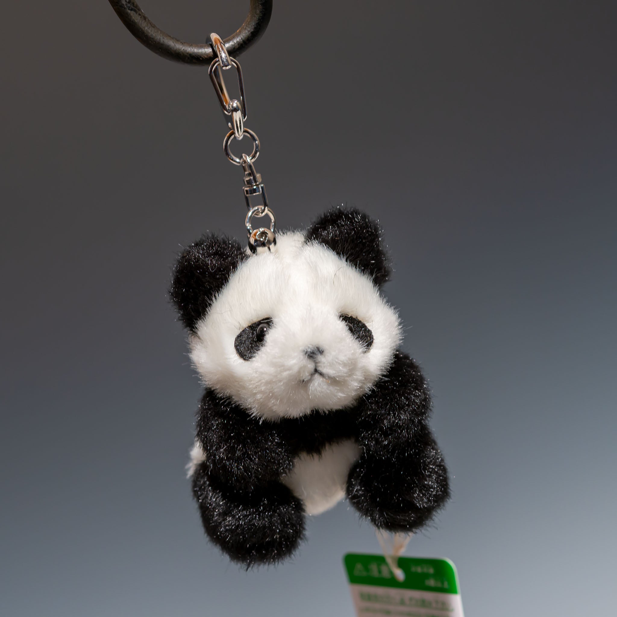 たけのこ TAKENOKO ぬいぐるみ ミニミニキッズ パンダ 48552