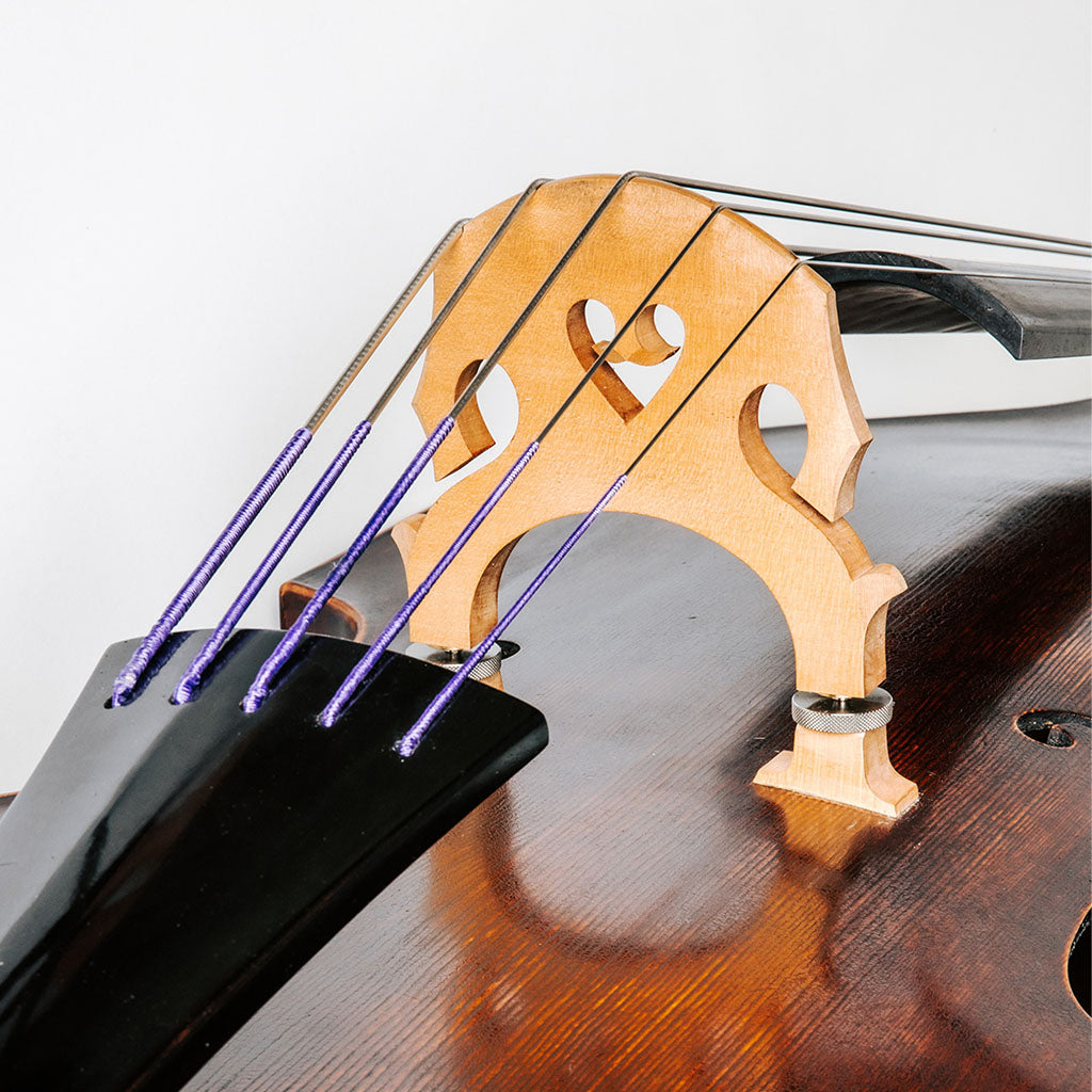 Thomastik Peter Infeld (PI) Bass String Set