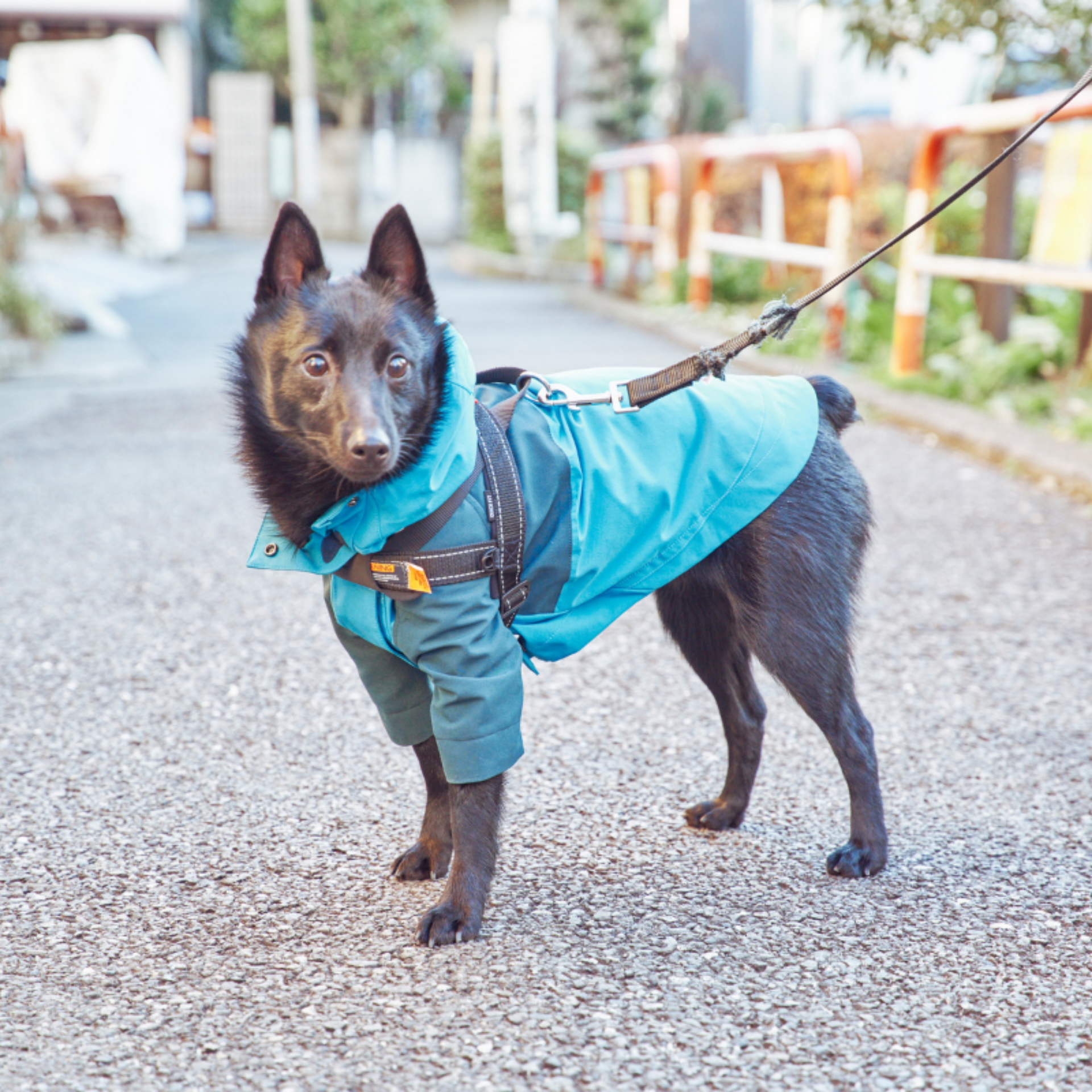 ダウン／コート／ブルゾン／マウンテンパーカー／ジャケット｜【公式