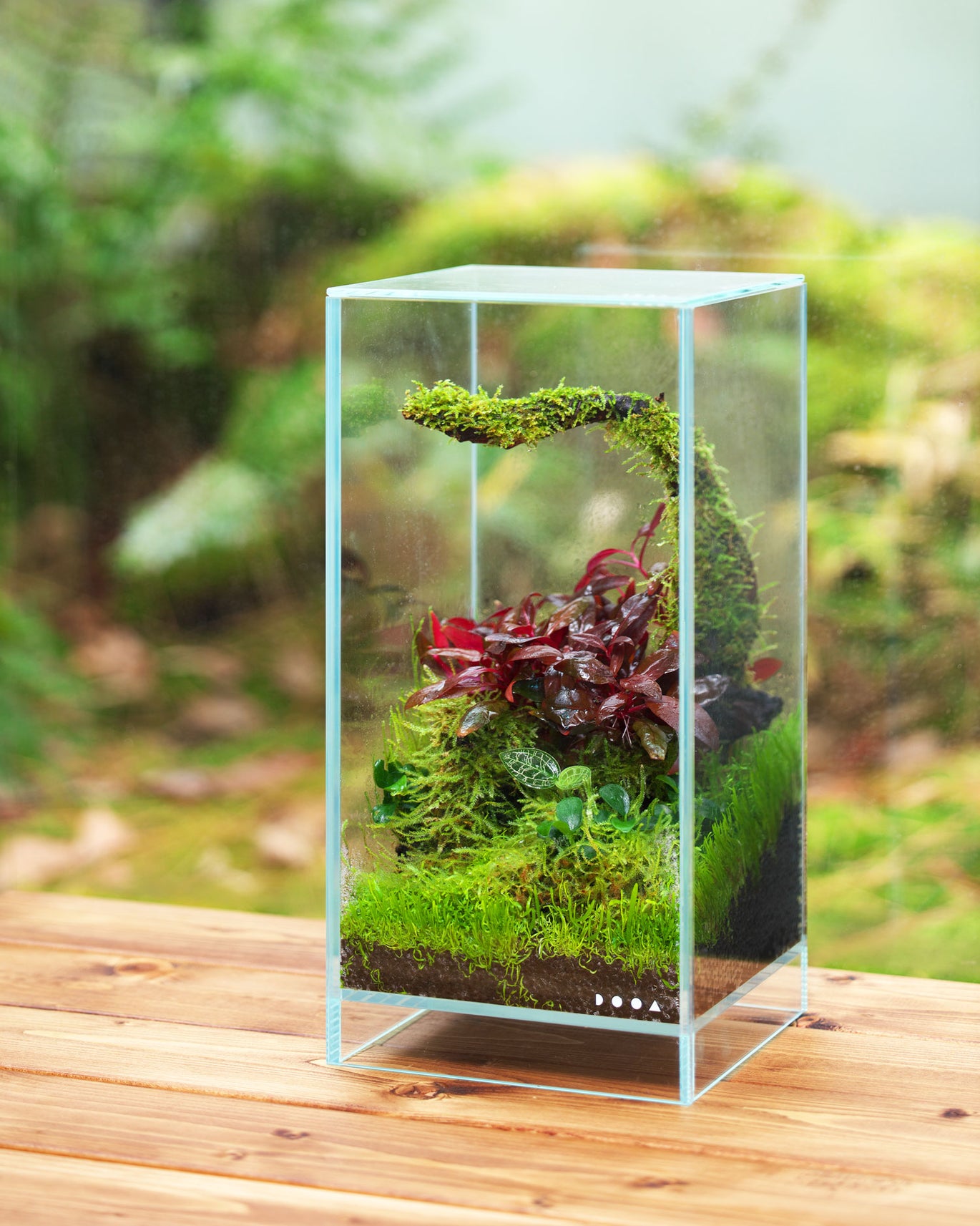 dooa-ada – 自游自在-水族及竉物用品