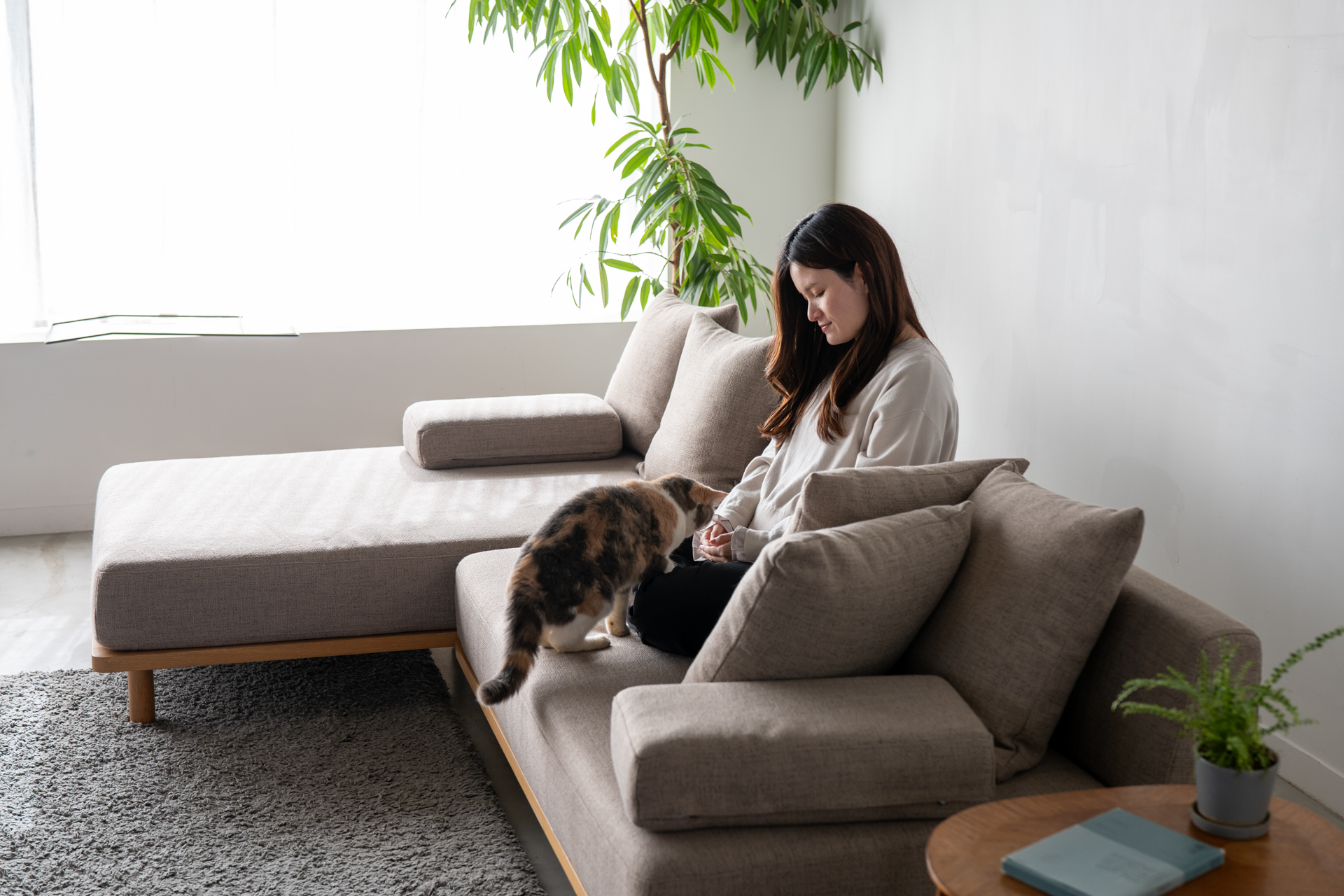 クッションでくつろぐソファ - オーナーとペットの境界のない暮らしを