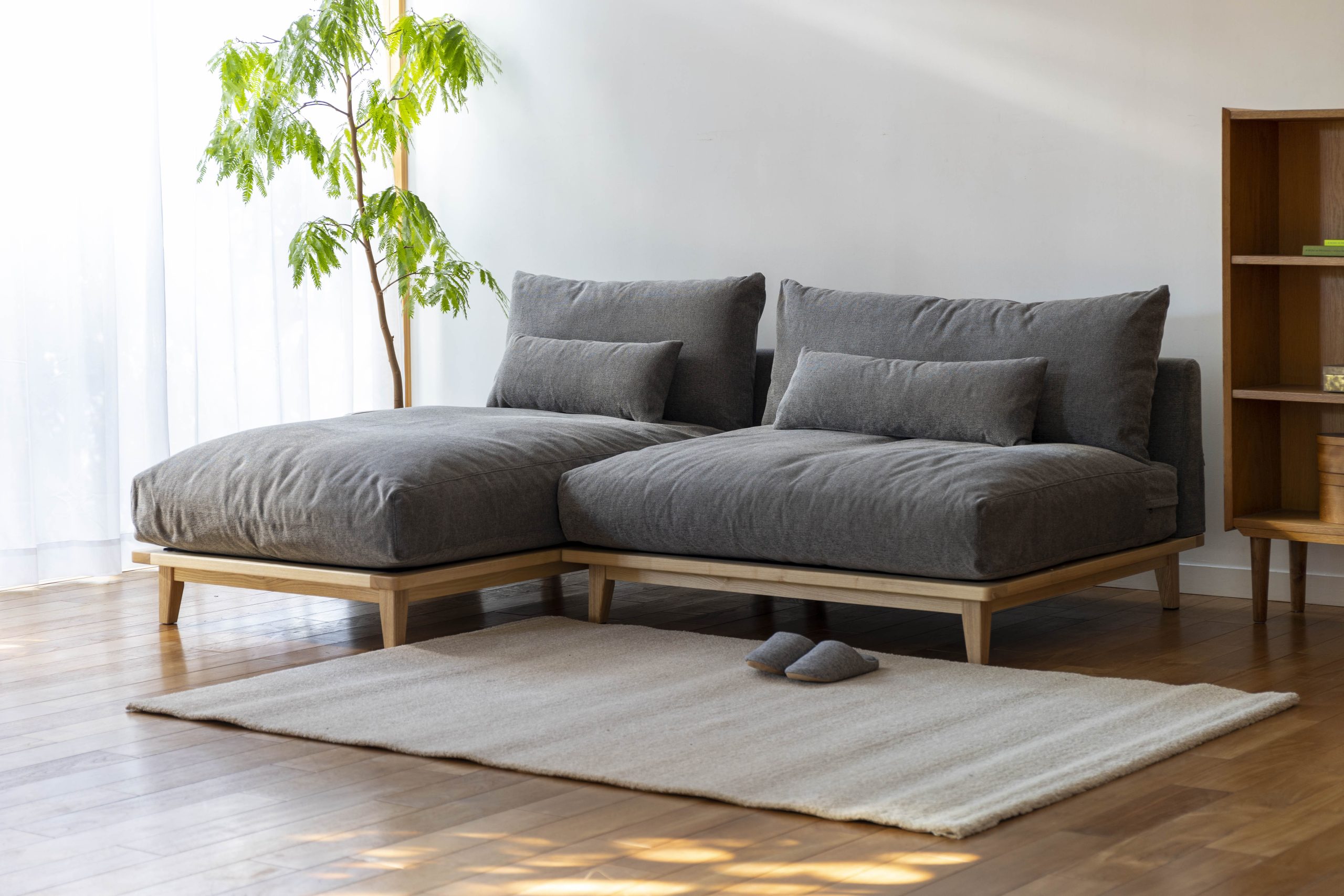 幸せになるソファ - オーナーとペットの境界のない暮らしを、ソファ