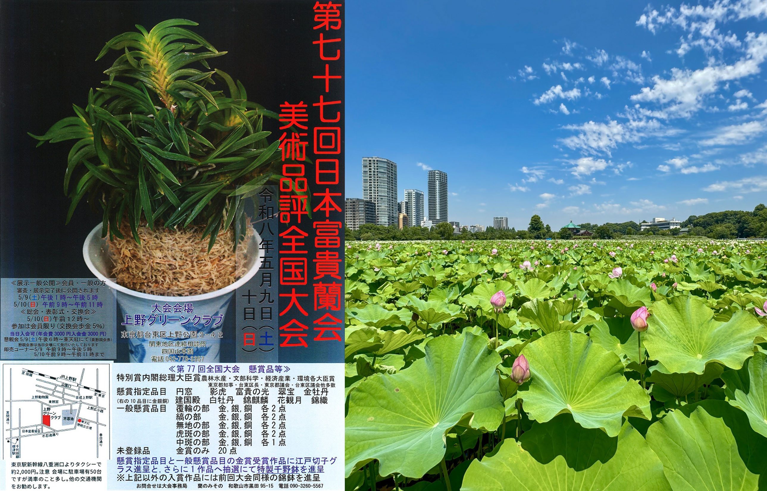 日本富貴蘭会 | official web site